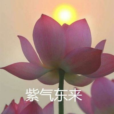4399纯三国手游下载